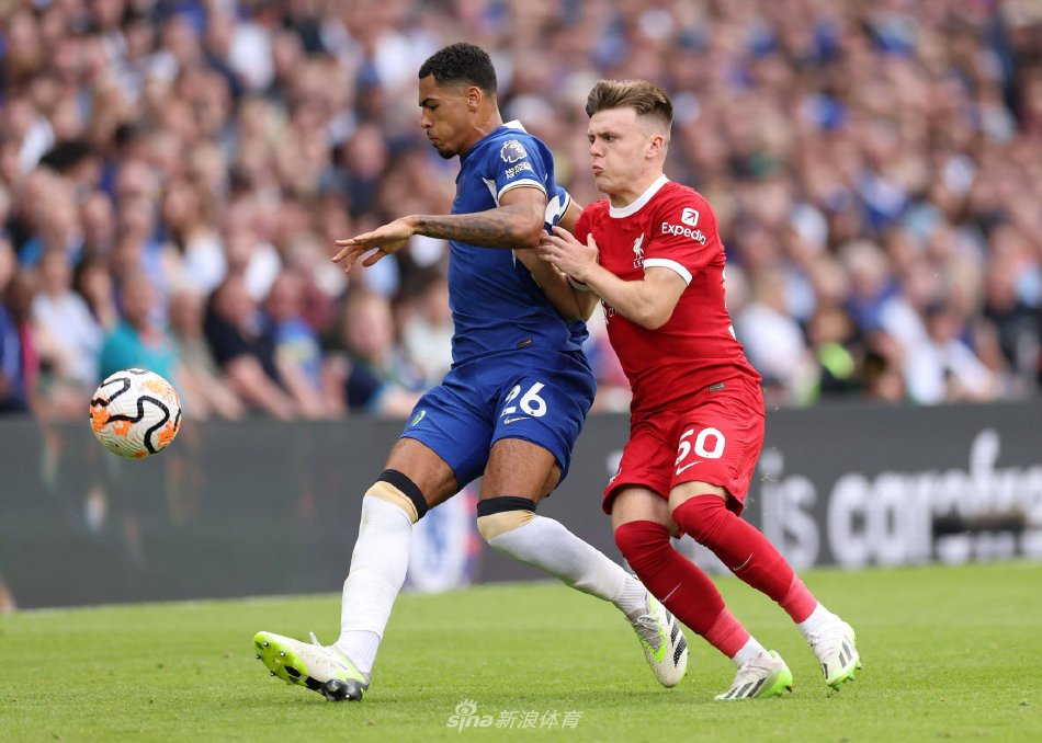 无比珍贵 无比珍贵